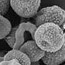 Microscopic Air, Mold Bacteria Removal in Mt Pleasant SC