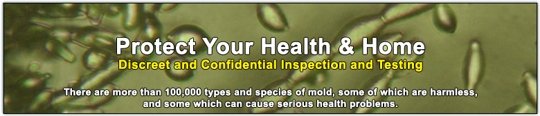 Mold Bacteria, Testing & Removal in Charleston SC